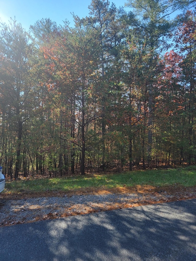 2930 New Ridge Rd, Elliston, VA 24087