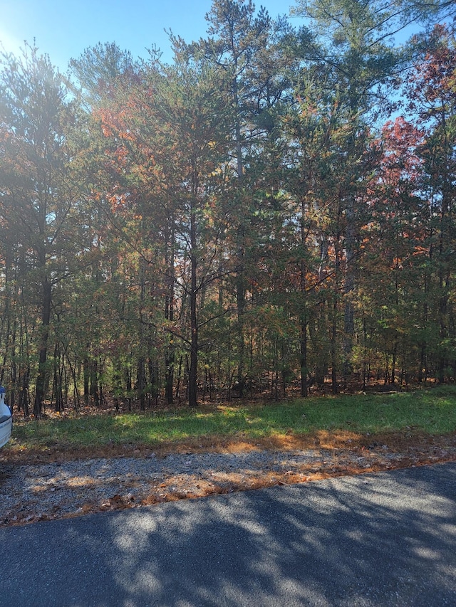 2930 New Ridge Rd, Elliston VA, 24087 land for sale