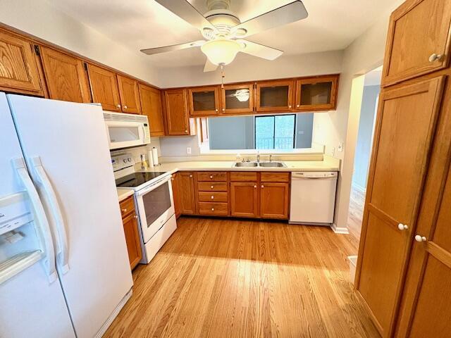 kitchen featuring light wood-type flooring, white appliances, brown cabinets, and a sink