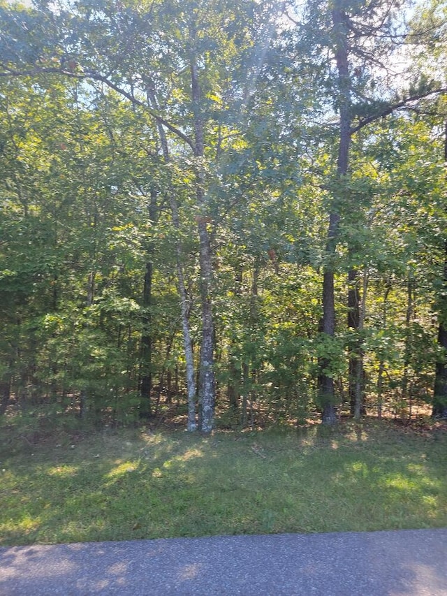 2920 New Ridge Rd, Elliston VA, 24087 land for sale