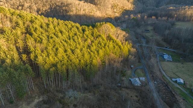 bird's eye view featuring a wooded view