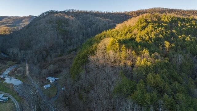 property view of mountains with a wooded view