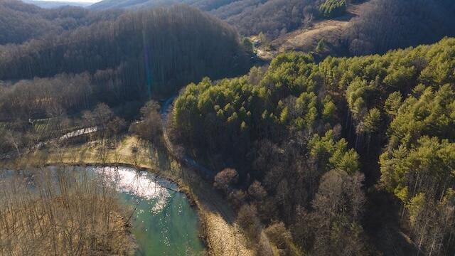 bird's eye view featuring a water view and a forest view