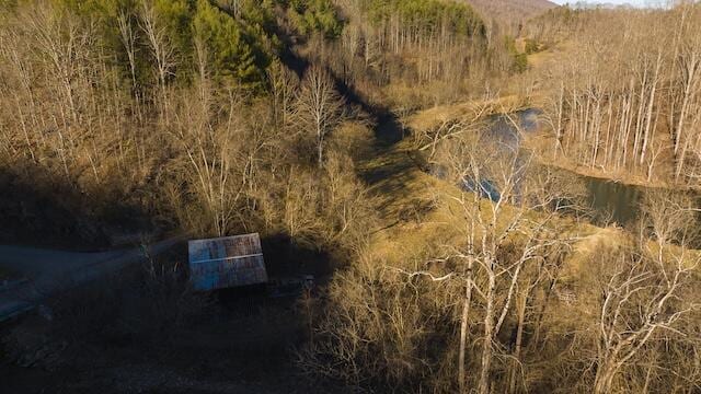 bird's eye view with a wooded view