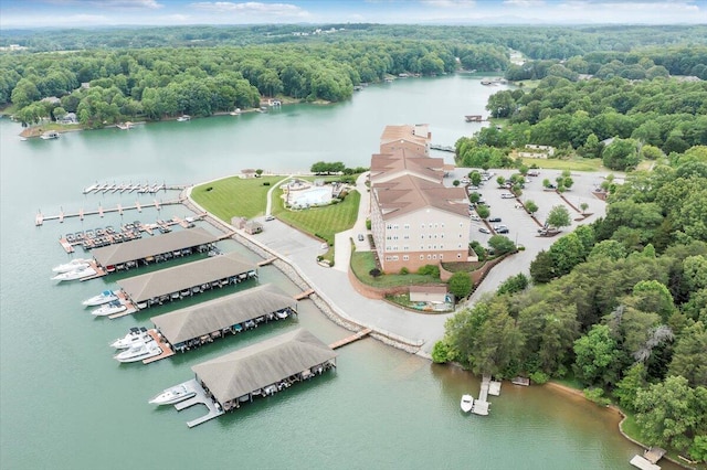 1273 Graves Harbor Trl Unit 3204, Huddleston, VA 24104 - bird's eye view of a large body of water and a heavily wooded area