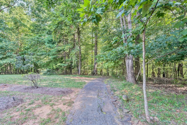 view of yard with a wooded view