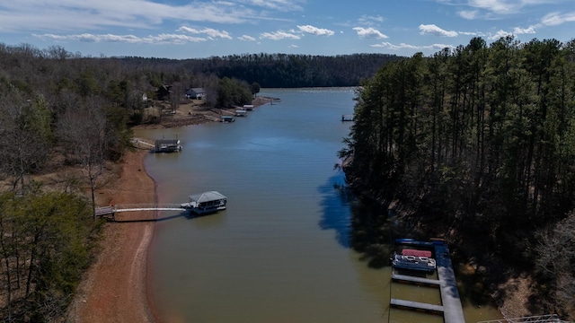 bird's eye view featuring a water view and a forest view