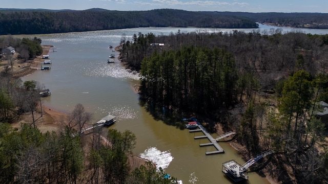 birds eye view of property featuring a water view and a wooded view