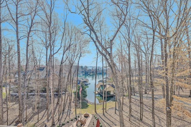 20 Waverly Ct, Moneta, VA 24121 - water view featuring a dock