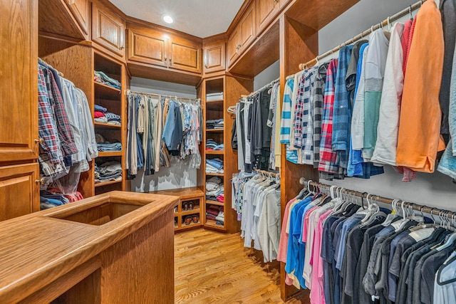 20 Waverly Ct, Moneta, VA 24121 - spacious closet with light wood-type flooring