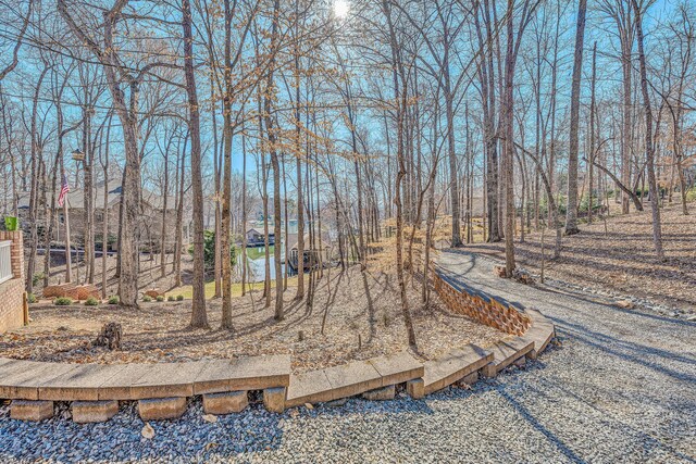 20 Waverly Ct, Moneta, VA 24121 - view of yard