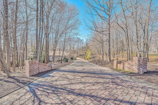 20 Waverly Ct, Moneta, VA 24121 - view of road