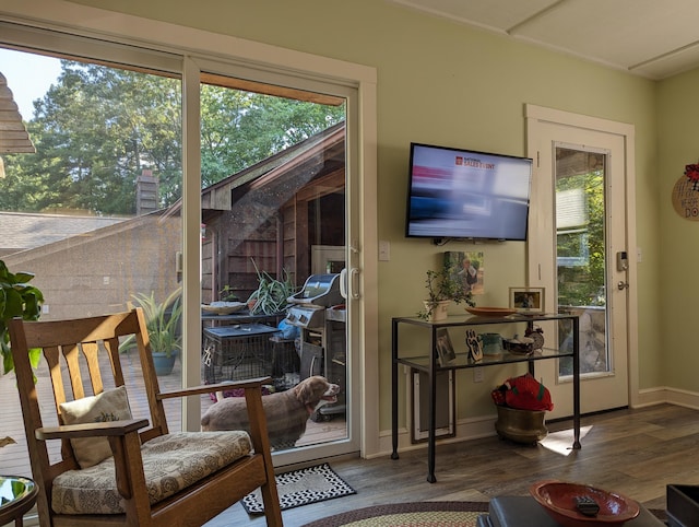 interior space with wood finished floors, a wealth of natural light, and baseboards