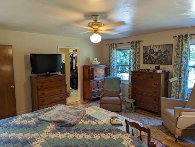 bedroom featuring a ceiling fan, a walk in closet, a closet, and light wood finished floors