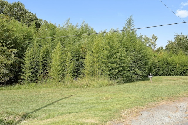 47 Westover Rd, Rocky Mount, VA 24151 - exterior space featuring a view of trees