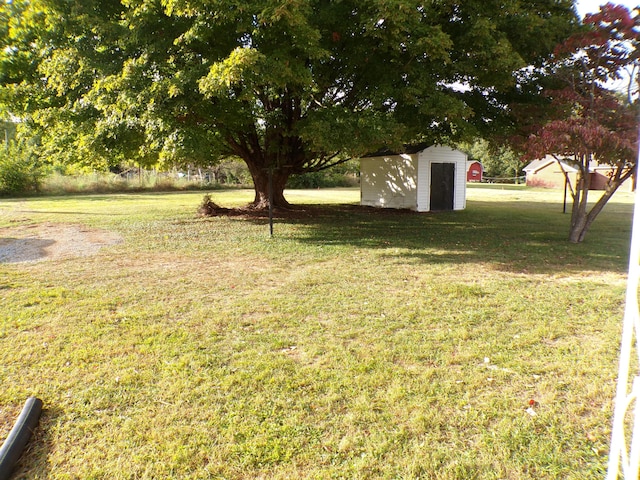 view of yard featuring a storage shed and an outdoor structure