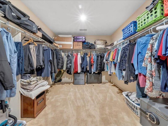 spacious closet featuring carpet flooring