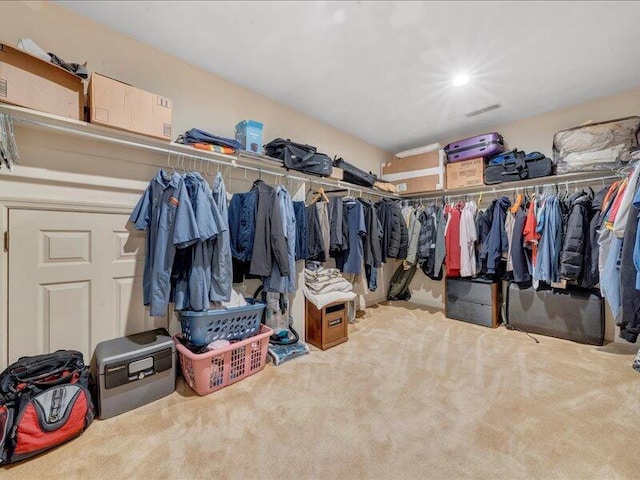 walk in closet with carpet flooring