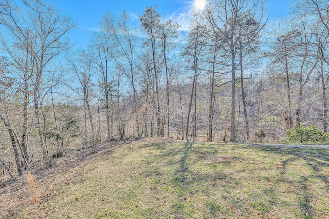 view of yard featuring a forest view