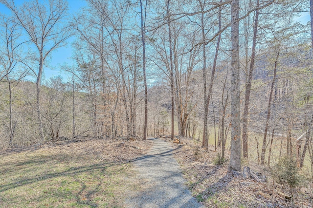 view of street with a forest view