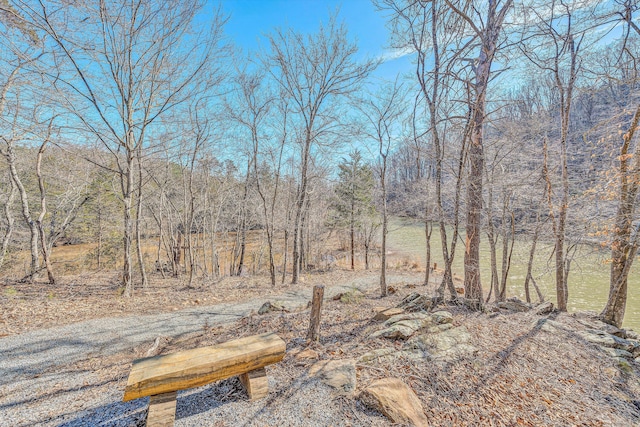 view of landscape featuring a forest view