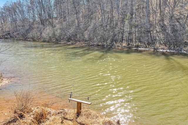 water view featuring a wooded view