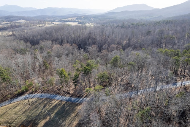 000 Short Hill Dr, Buchanan VA, 24066 land for sale