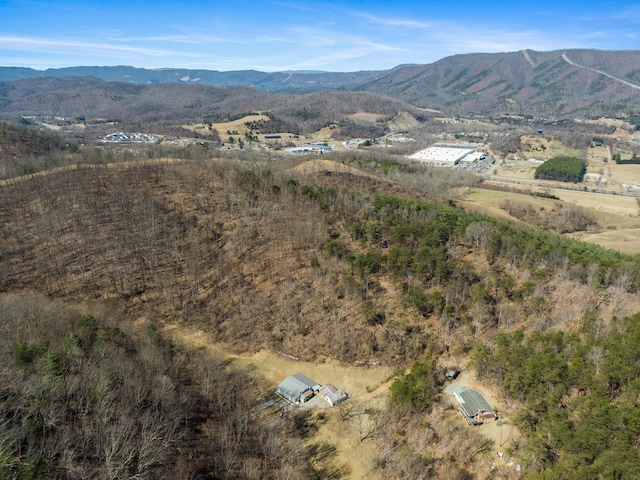 bird's eye view featuring a mountain view