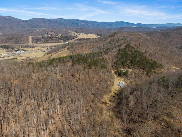 view of mountain feature