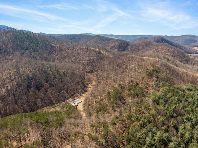 property view of mountains with a forest view