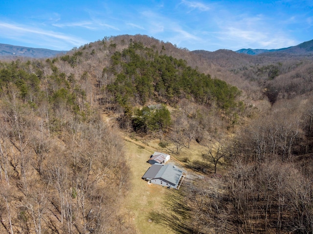 property view of mountains