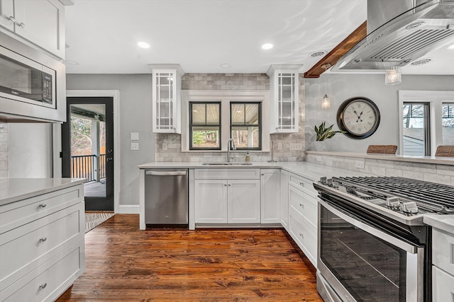 kitchen with backsplash, ventilation hood, dark wood-type flooring, appliances with stainless steel finishes, and a sink