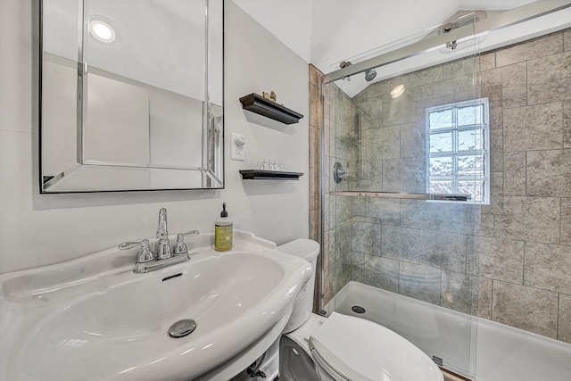 bathroom with a shower stall, toilet, and a sink