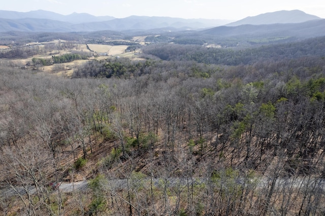 000 Short Hill Dr, Buchanan VA, 24066 land for sale