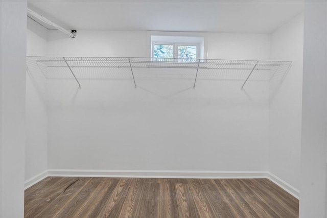 spacious closet with dark wood-style flooring