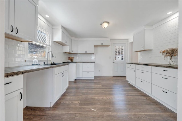 kitchen with white cabinets, dark wood-type flooring, and a sink