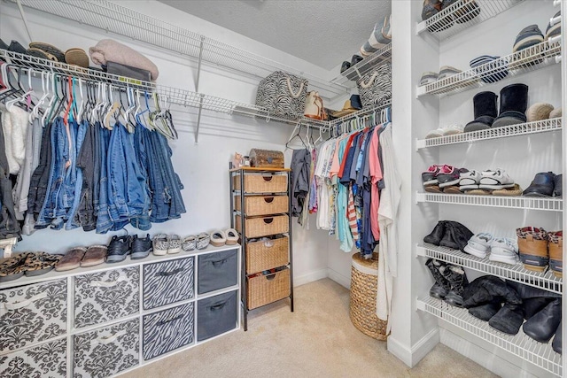 spacious closet featuring carpet flooring