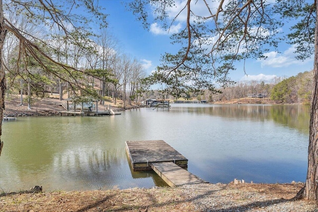 dock area featuring a water view