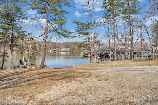 property view of water