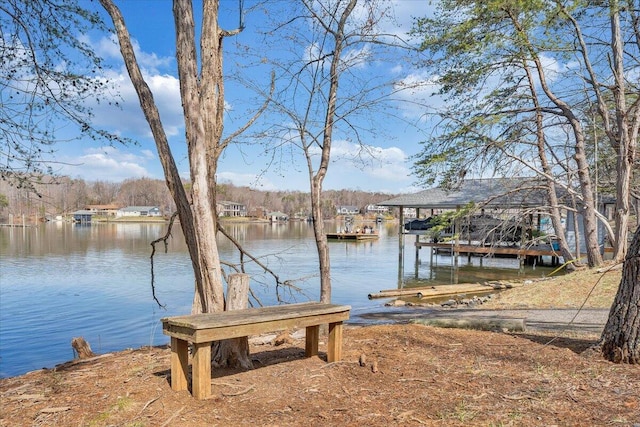 dock area with a water view