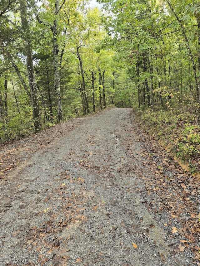 view of road with a forest view