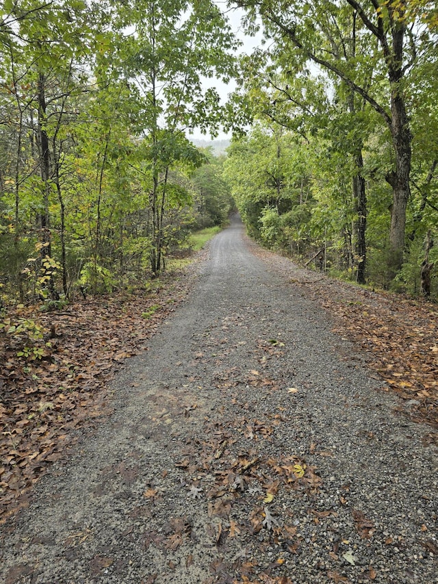 view of road with a wooded view