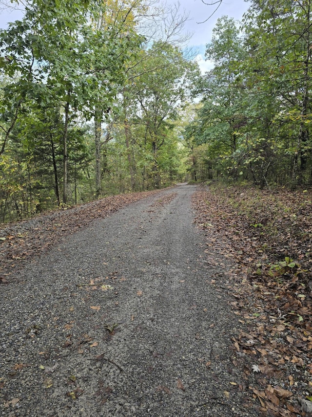 view of road with a forest view