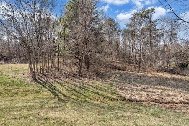 Listing photo 3 for 0 Woodridge Rd, Troutville VA 24175