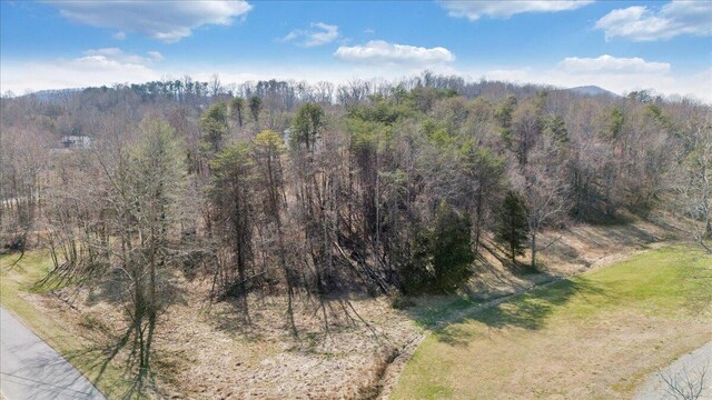 0 Woodridge Rd, Troutville, VA 24175