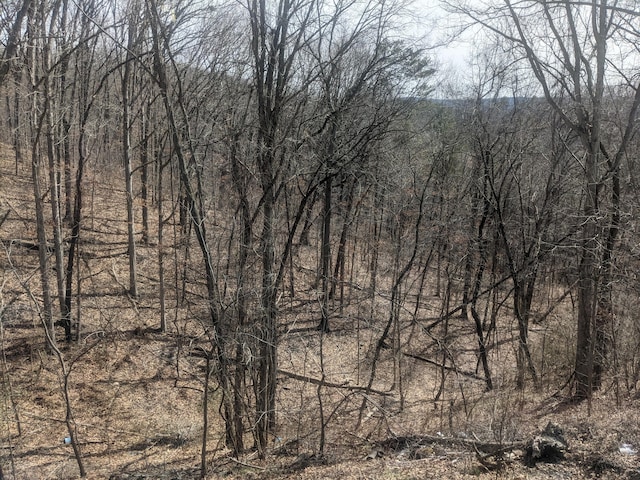 view of landscape with a forest view