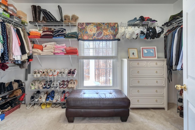 walk in closet featuring carpet flooring