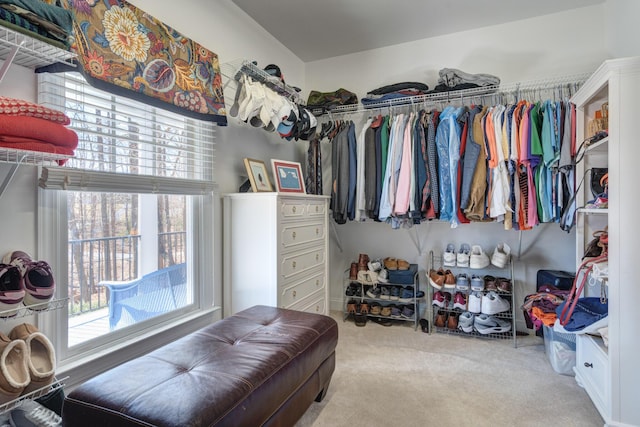 spacious closet featuring carpet