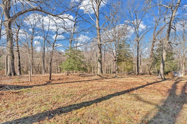 view of yard featuring a view of trees