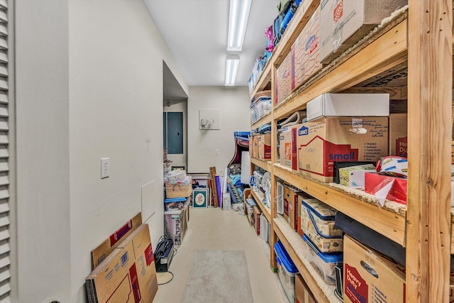 storage room featuring electric panel